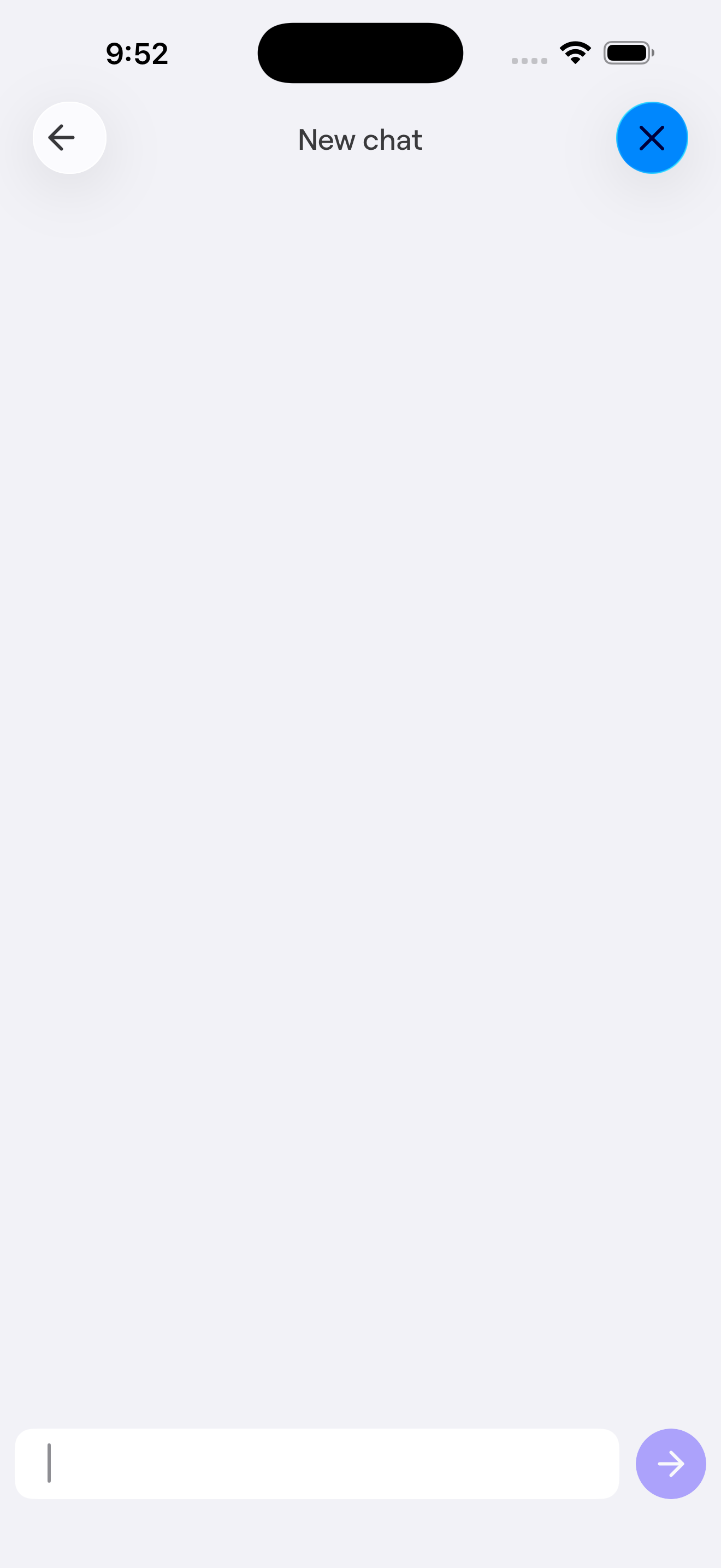 Chat screen for messaging the developer